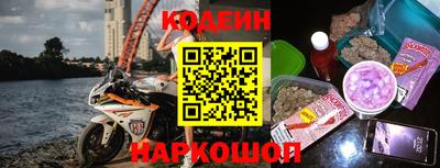 молекула духа Будённовск
