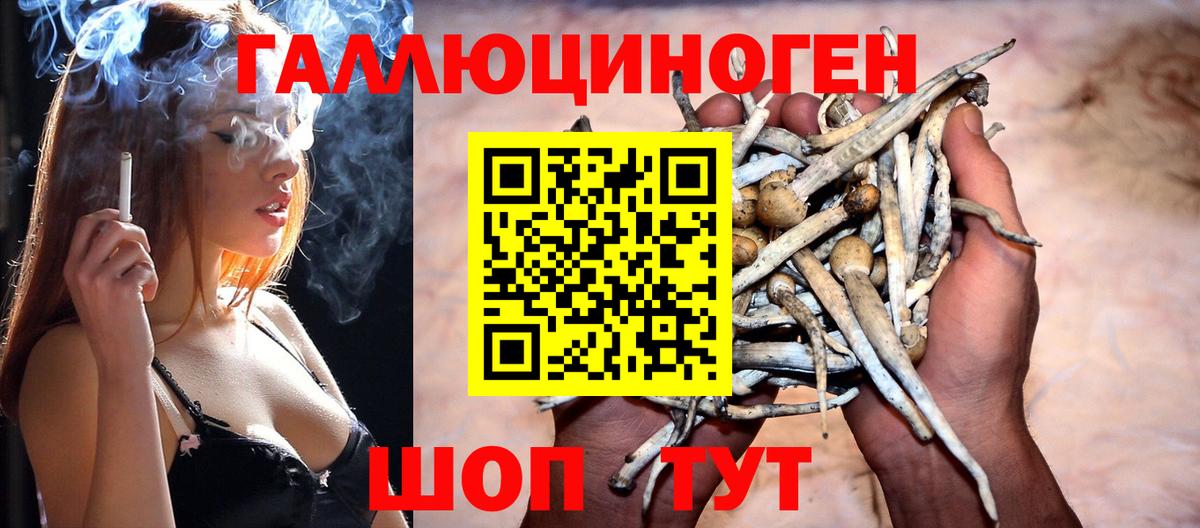 Галлюциногенные грибы Psilocybine cubensis  Вход с VPN  Спасск-Дальний 